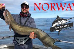 Морская рыбалка в Норвегии на острове Сенья. Август 2018г